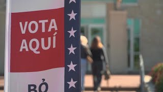 What is Vote Early Day