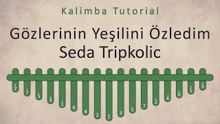 Seda Tripkolic - Gözlerinin Yeşilini Özledim | Kalimba Academy Tutorials