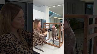 Monkfish & A Potato And Fennel Side Dish