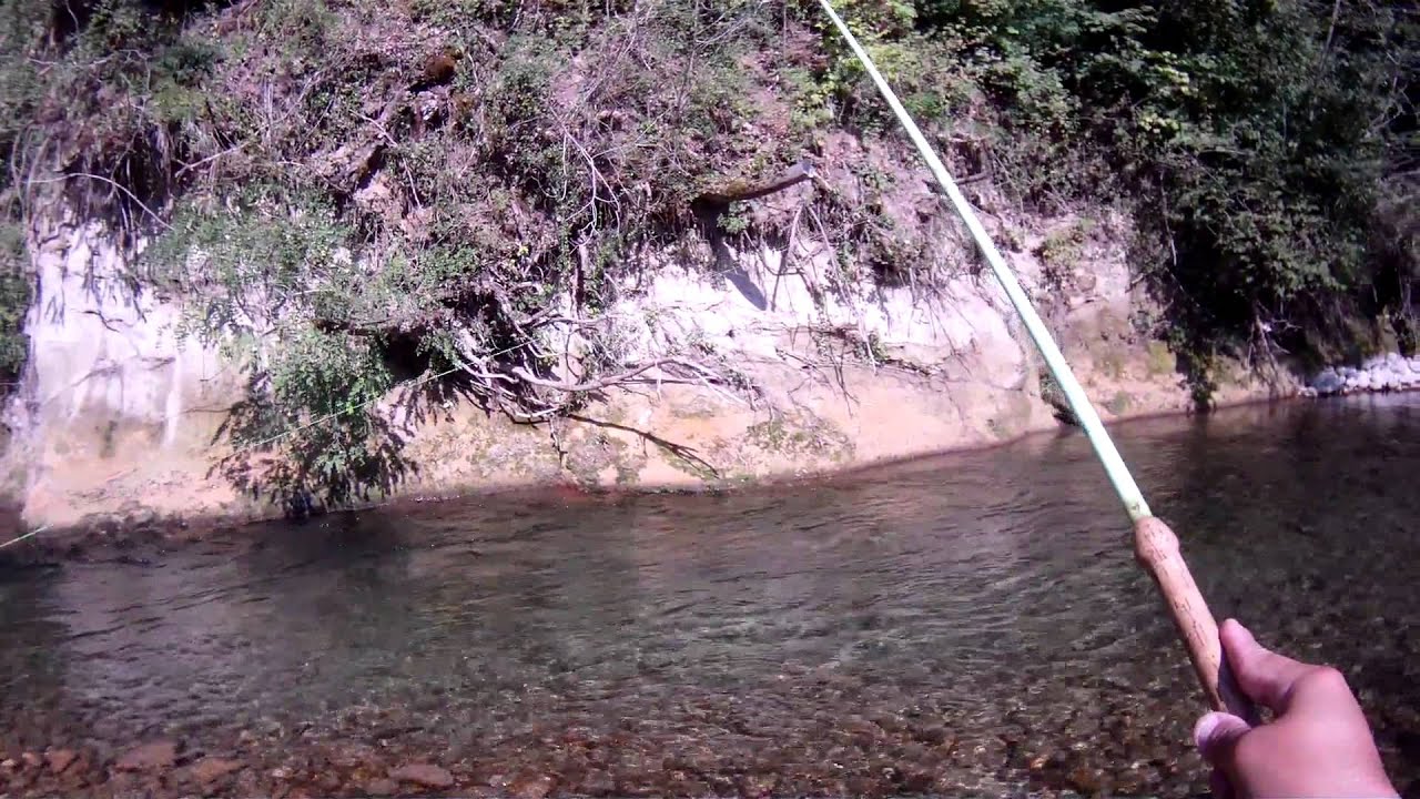 La Pêche en Mer du Bord aux Appâts et aux Leurres | Vagnon