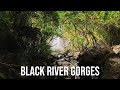 POV: Black River Gorges National Park | Mauritius 🇲🇺