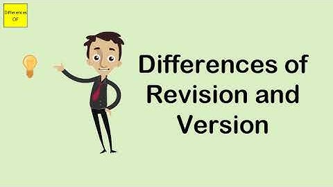 Differences of Revision and Version
