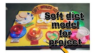 #Softdiet #Nutrition #Model🍛Soft diet model for college... Nutrition Project work📝 screenshot 5