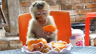 Cute Animal!! Monkey Donal Very Enjoy With His Special Fruits