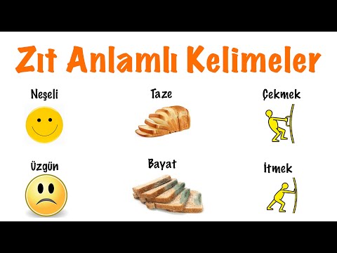 Zıt Anlamlı Kelimeler