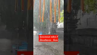 Тропический ливень в Джимбаране на Бали. #jimbaran #джимбаран #бали #bali #ливень #тропики #дождь