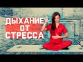 Избавляемся от стресса с помощью дыхания за 10 минут