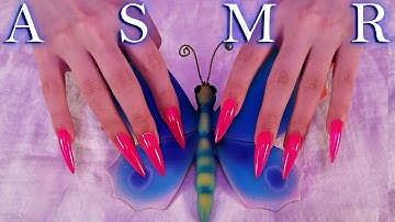 ASMR Gentle Tapping Compilation 💜(No Talking)💜Tingly Tapping for Deep Sleep