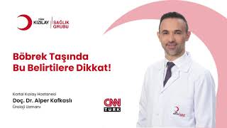 Böbrek Taşında Bu Belirtilere Dikkat Doç Dr Alper Kafkaslı