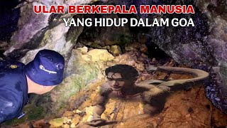 Download Lagu Ngeri banget.!! ular berkepala manusia ternyata terbukti ada hidup dalam goa MP3 Download Lagu Ngeri banget.!! ular berkepala manusia ternyata terbukti ada hidup dalam goa MP3