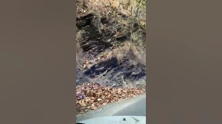 Utrakhand Jim Corbett road