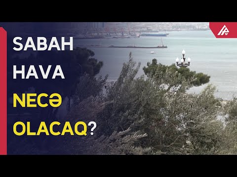 Sabahın HAVA PROQNOZU - APA TV