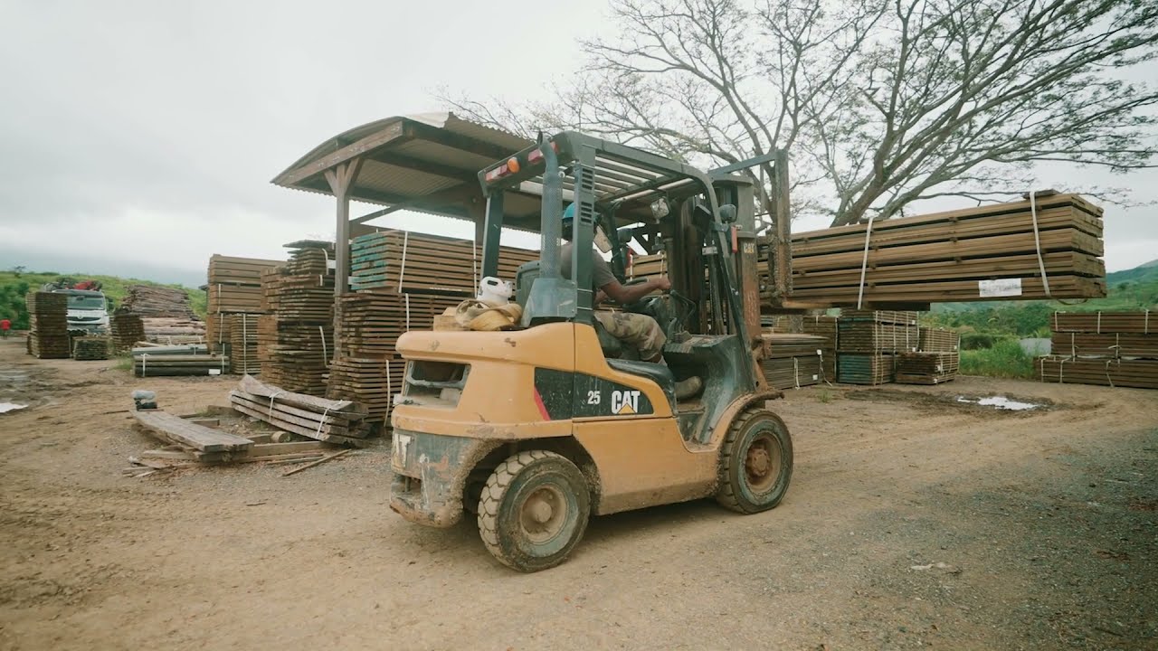 Le groupement des forestiers calédoniens