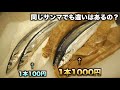 1本100円と1000円のサンマの違いが想像以上にヤバ過ぎたwwwww