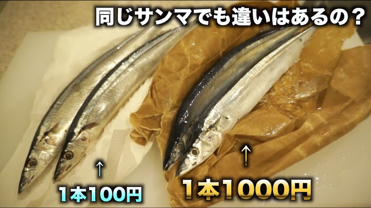 1本100円と1000円のサンマの違いが想像以上にヤバ過ぎたwwwww - YouTube