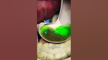 How to make 3D video #3danimation #ytshorts #trendingshorts