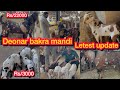 Deonar bakra mandi latest update |Asia biggest  goat 🐐 market |Rizwan vlogs203 #youtubevideo #deonar