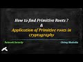 Finding Primitive Roots of Prime Numbers and Their Cryptographic Applications