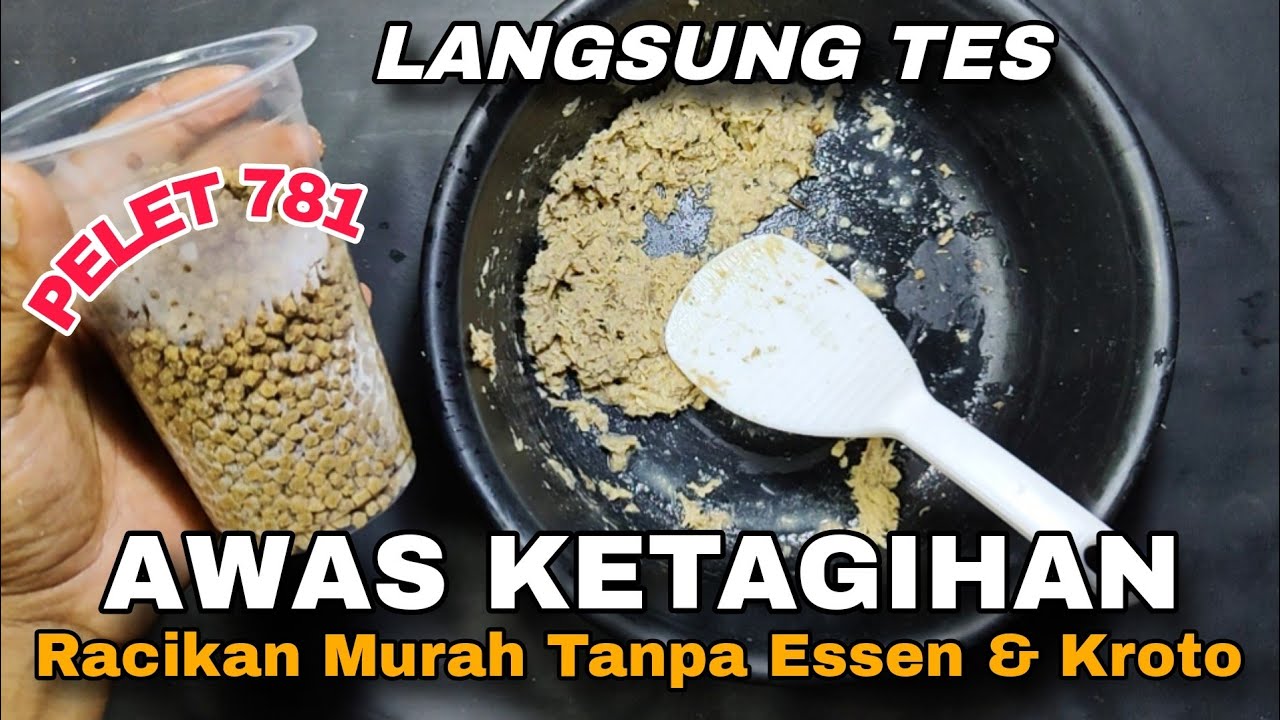 TERLARANG .... ‼️ UMPAN PELET MEMANG TOP ,,,, Umpan Ikan Mas