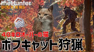 【ザハンターコールオブザワイルド】激闘！深夜のダイヤモンドボブキャット狩り！【theHunter: Call of the Wild 】 screenshot 5