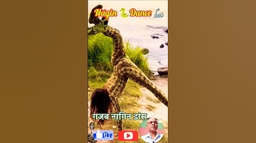 Nagin Dance #shorts #viral #dance #trending #nagin 🐍