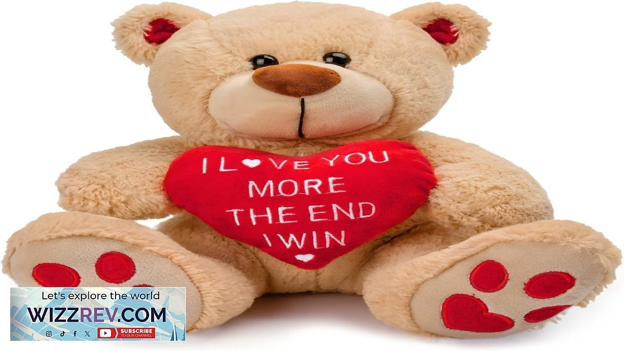 CaseTank Valentines Day Gifts for Her Kids: 10 Inches Teddy Bear Funny