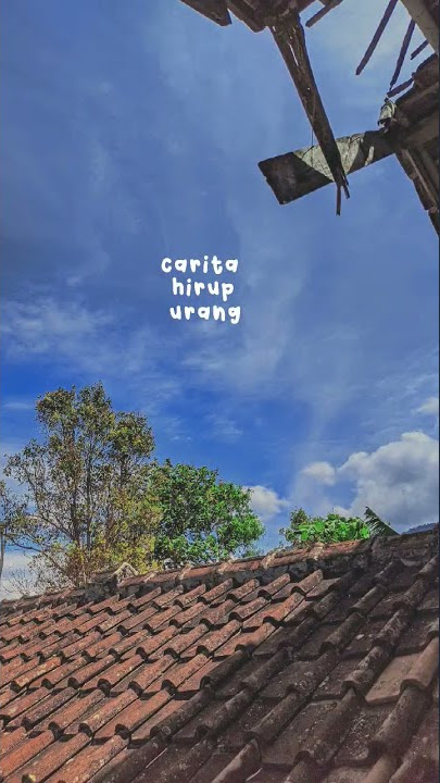 #malangbongbaceo
