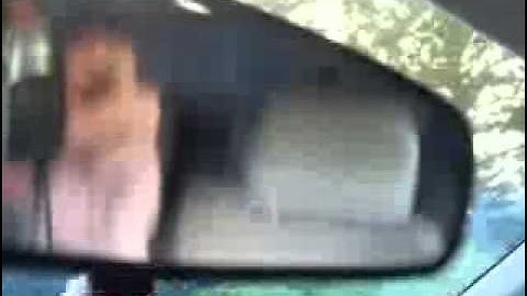 12vdb.com - car audio database: Rockford Fosgate T212.1