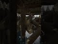KELVIN NEEEEIN???!!!! #sonsoftheforest #sonsoftheforestgameplay #sonsoftheforestwalktrough | #derwa