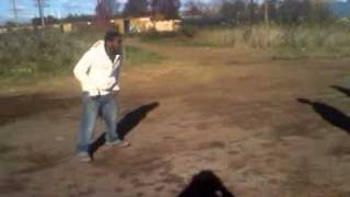 Jackass in the hood(uptown)