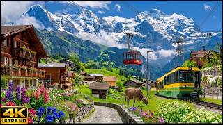 Wengen, Switzerland 4K – Swiss Village With No Cars, Only Trains screenshot 4