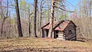 Abandoned log cabin in Daniel Boone national forest