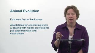 Biology 3 2 4 screenshot 5