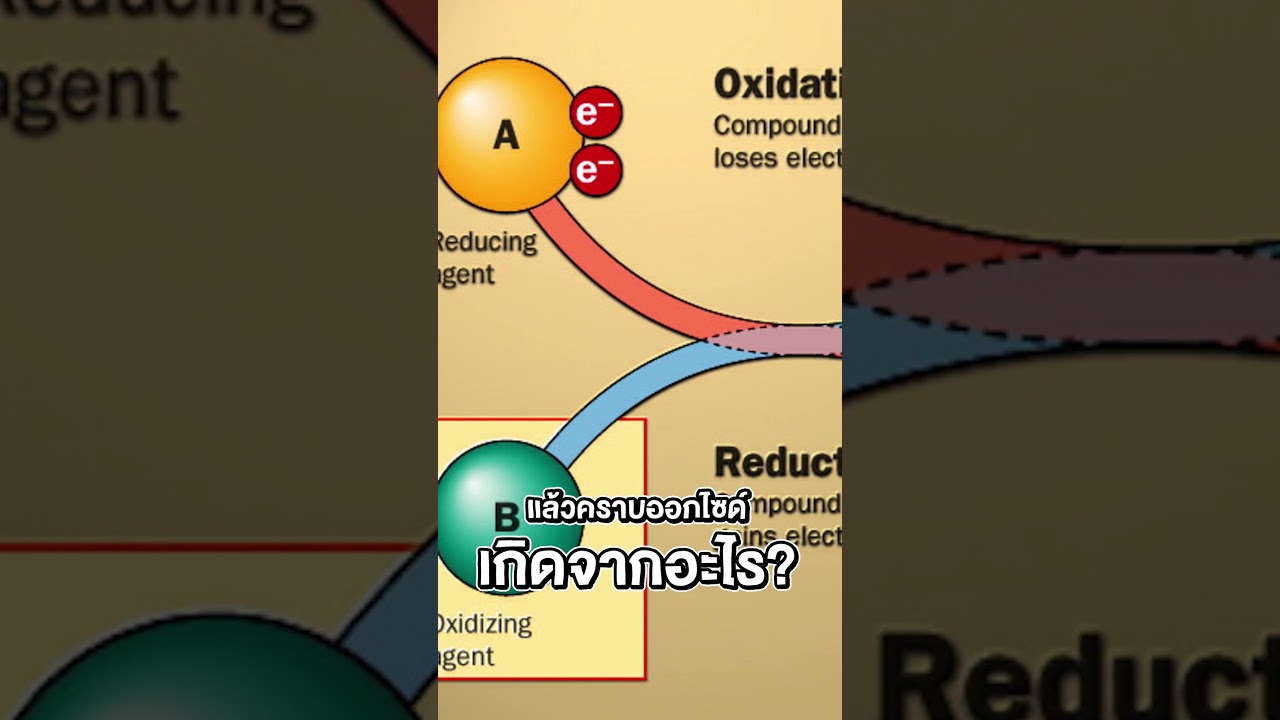 เอายางลบขัด RAM เพื่อ.. !!? #RAM #ยางลบขัดแรม