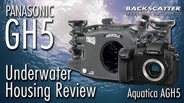 Panasonic GH5 Underwater Housing Review - Aquatica