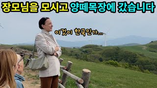 [국제커플] 러시아 장모님과 할머님을 모시고 양떼목장에 갔다가 할머님이 갑자기 욕을 하시는 이유는?