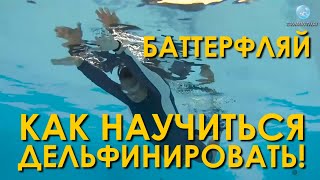 Плавание баттерфляем: дельфинирование!