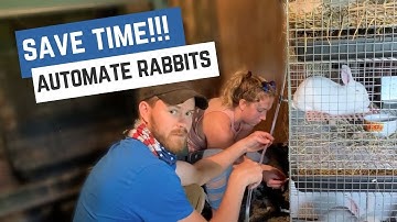 How to Build An Automatic Watering System for Rabbits