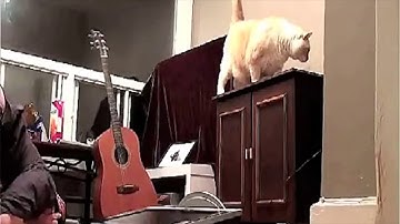 Introducing Microsoft Surface Studio