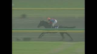 2000年ジャパンカップダート ウイングアロー - YouTube