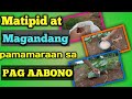 Paano mag apply ng fertilizer sa ating halaman | Paano mag abono