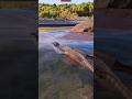 MUTADON can Swimming 😱 + Human Hunting - Jurassic World Evolution 3 #jurassicworld