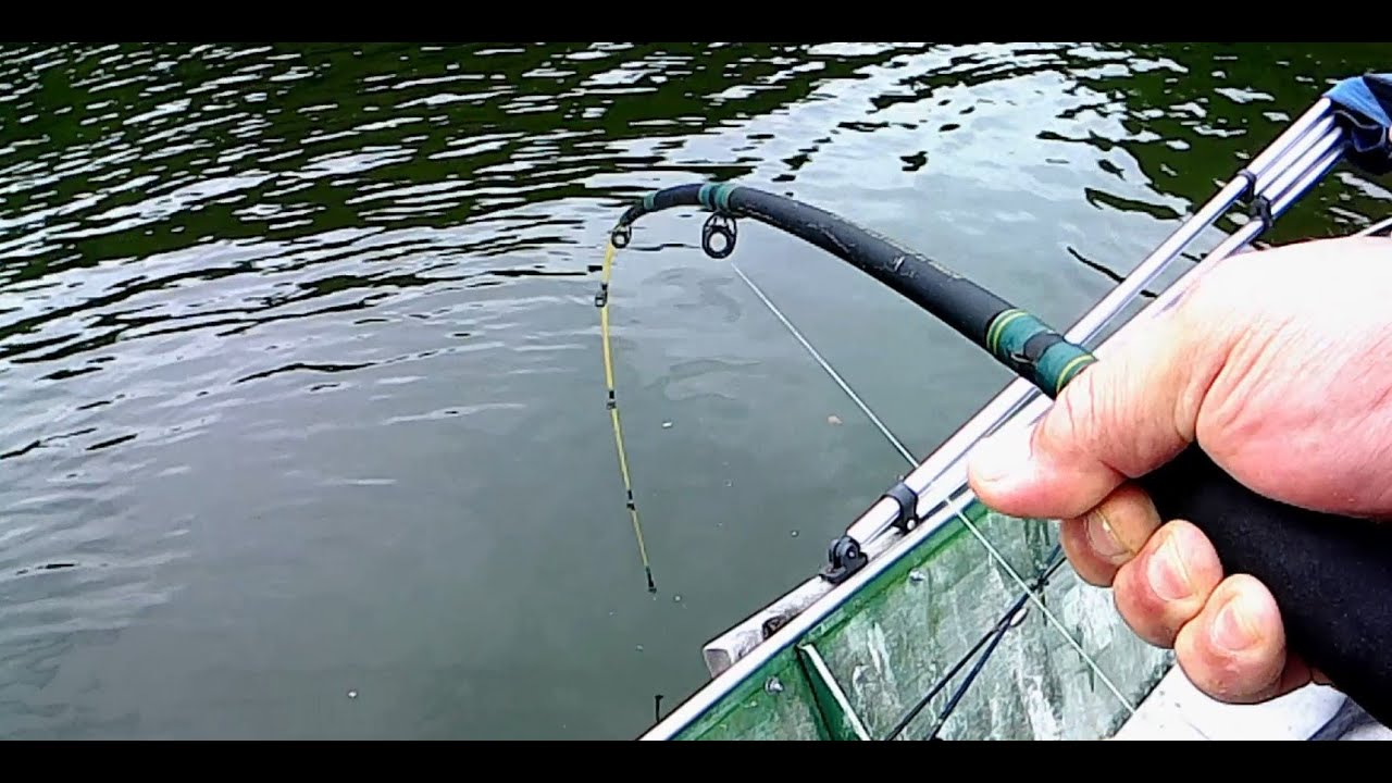 Catfish Slime In My Face YouTube