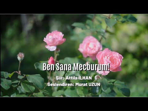 Ben Sana Mecburum, Bilemezsin! (Şiir Dinletisi)