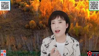 20200330 2【张文宏还能走多远？】【寒梅视角】