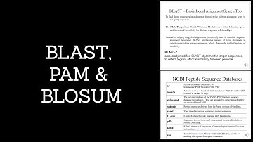 BLAST, PAM & BLOSUM (1)| Explained| Bioinformatics