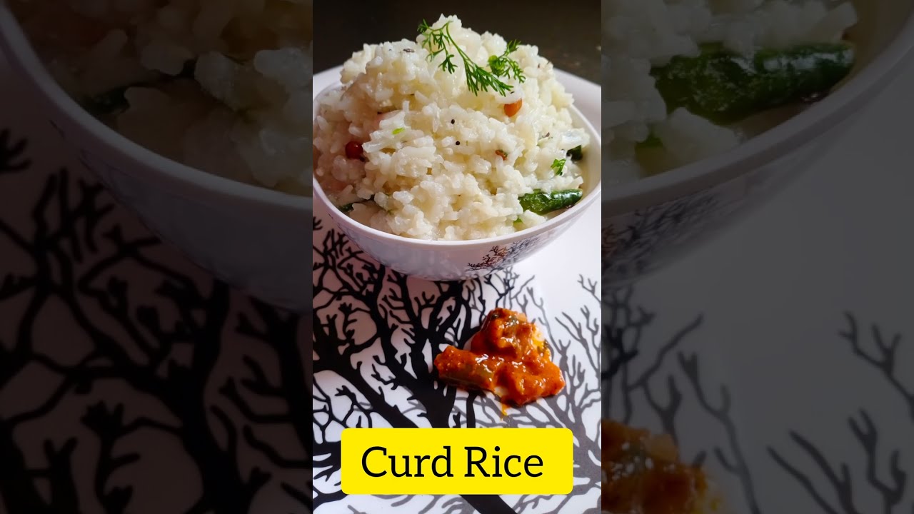 Curd Rice Recipe YouTube