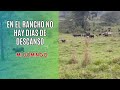 QUIERES UN RANCHO EXITOSO PERO NO QUIERES HACER ESTO