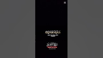 سوره الأعلى #quran #اكسبلور #المصحف #shortvideo #الرحمن