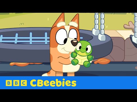 Bingo Finds Turtleboy